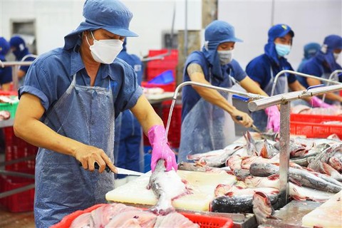Doanh nghiệp thủy sản 'chạy đua' xuất khẩu sang Mỹ - Ảnh 1.