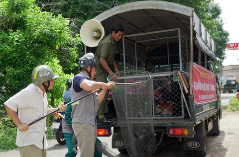 Người đàn ông tử vong với dấu hiệu bệnh dại sau hơn 1 năm bị chó cắn - Ảnh 1.