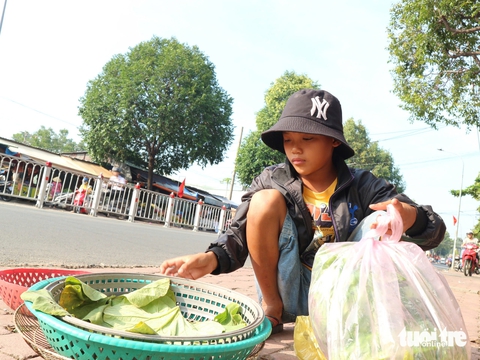 Cậu bé 11 tuổi bán rau phụ mẹ nuôi em - Ảnh 1.