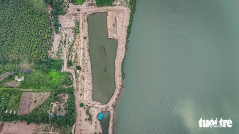'Ốc đảo' hoang sơ hiếm có giữa sông Hồng ở Hà Nội bị 'xẻ thịt', chủ vi phạm tránh mặt - Ảnh 3.