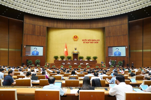 hiến pháp - Ảnh 1.