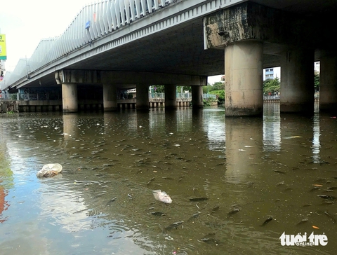kênh Nhiêu Lộc - Thị Nghè - Ảnh 1.