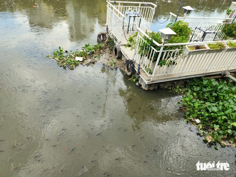 kênh Nhiêu Lộc - Thị Nghè - Ảnh 3.