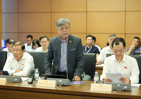 Tòa án - Ảnh 2.
