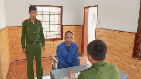 sầu riêng - Ảnh 2. sầu riêng - Ảnh 2.