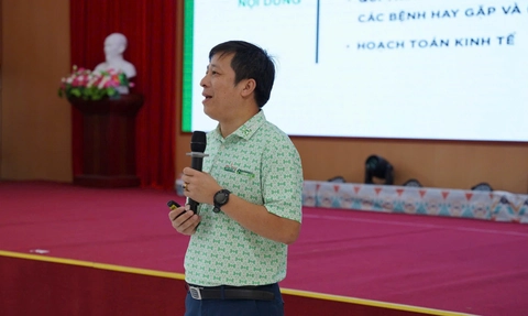 Tiếp sức nhà nông: Đổi mới tư duy - làm giàu từ chăn nuôi hiệu quả - Ảnh 1. Tiếp sức nhà nông: Đổi mới tư duy - làm giàu từ chăn nuôi hiệu quả - Ảnh 1.
