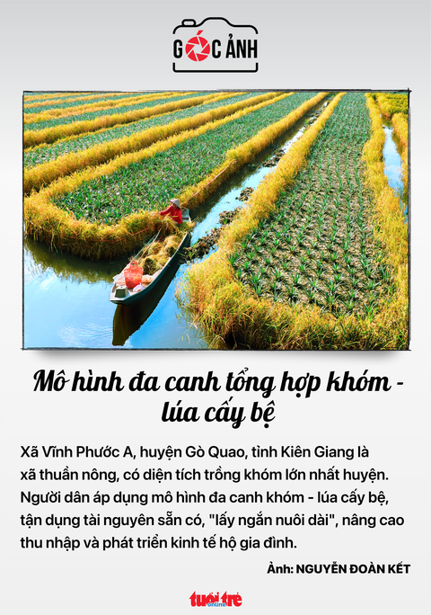 tin tức - Ảnh 8.