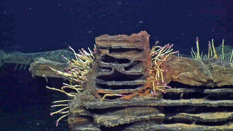 núi lửa - Ảnh 2.