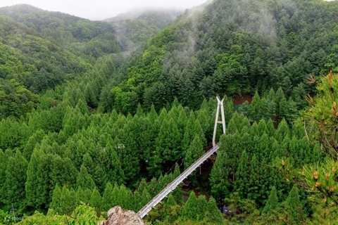 Hàn Quốc - Ảnh 2.