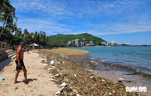 biển Vũng Tàu - Ảnh 1.