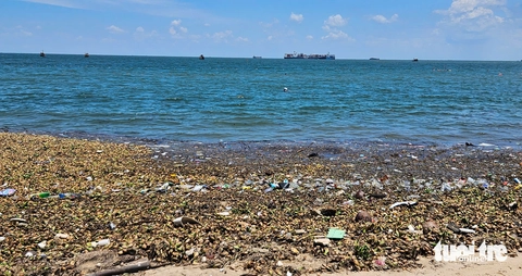 biển Vũng Tàu - Ảnh 3.