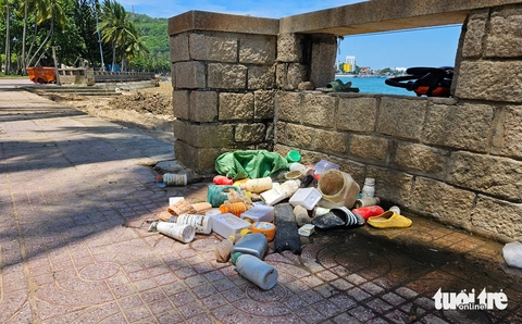 biển Vũng Tàu - Ảnh 6.