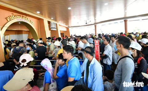Lễ hội trái cây Nam Bộ quy tụ hàng trăm loại trái cây đặc sắc, hút khách ngay ngày 1-6 - Ảnh 2.