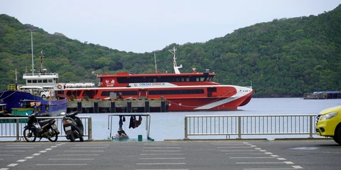 dông gió - Ảnh 1.