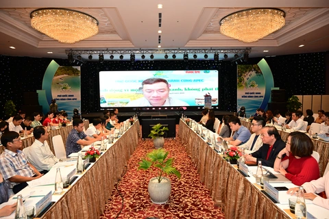Phú Quốc - Ảnh 9.