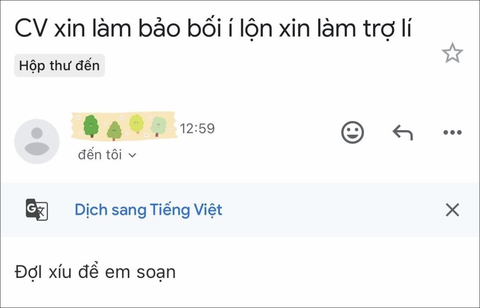 'Tổng tài' Võ Tấn Phát tung bộ sưu tập CV sau màn tuyển trợ lý - Ảnh 1.