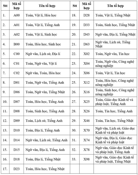 Trường đại học Việt Nhật - Ảnh 3.