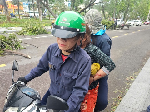 Cây bật gốc giữa phố Quy Nhơn, đè bị thương 1 phụ nữ - Ảnh 2.