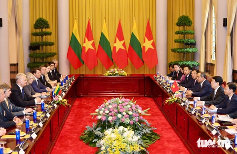 Chủ tịch nước Lương Cường đón, hội đàm với Tổng thống Lithuania - Ảnh 9.