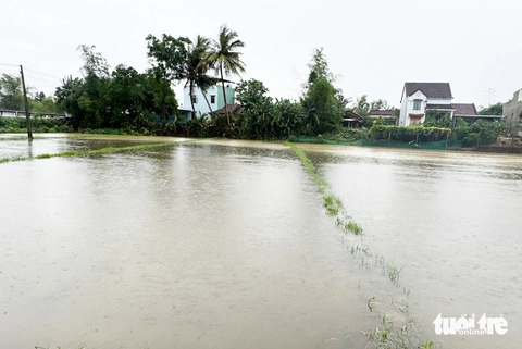nước lũ - Ảnh 3.