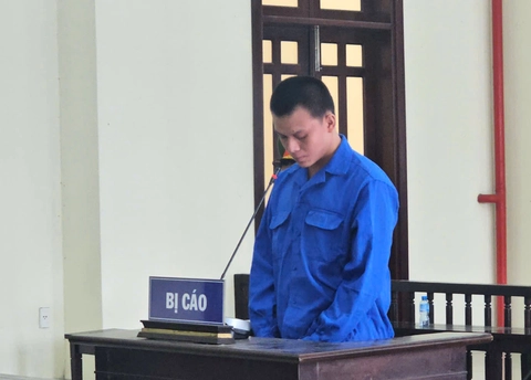 thiếu nữ - Ảnh 1.