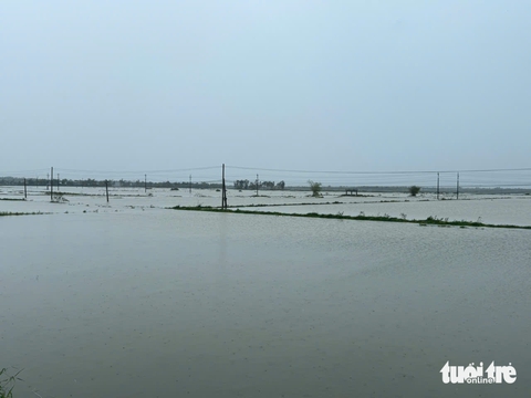 nước lũ - Ảnh 3.