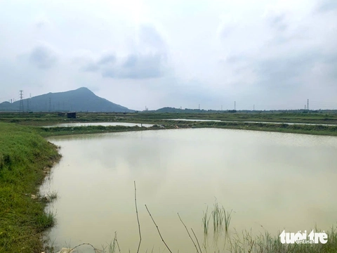 chống ngập - Ảnh 4.
