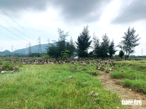 chống ngập - Ảnh 2.