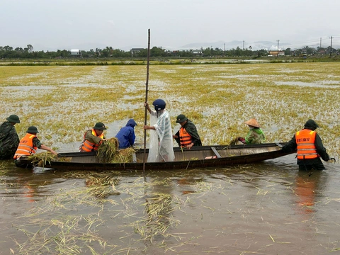 nước lũ - Ảnh 1.