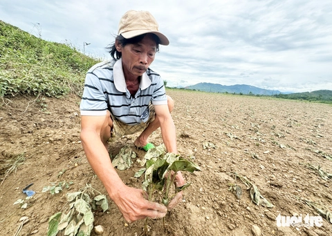 lũ trái mùa - Ảnh 2.