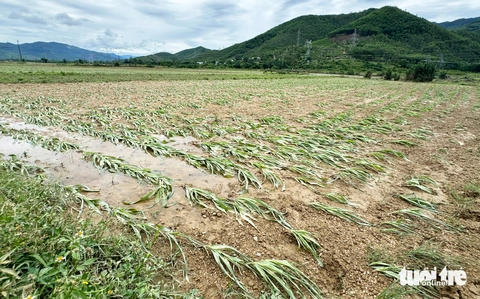 lũ trái mùa - Ảnh 8.