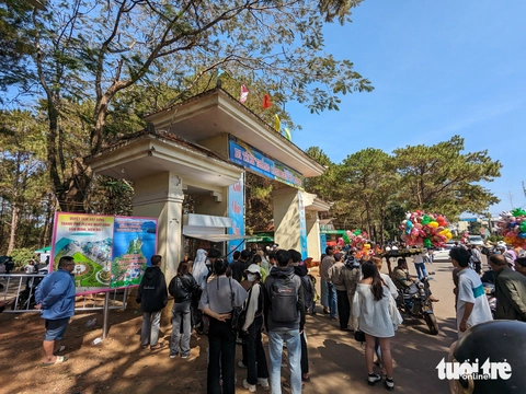 Gia Lai - Ảnh 2.