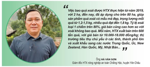 bao quả - Ảnh 5.
