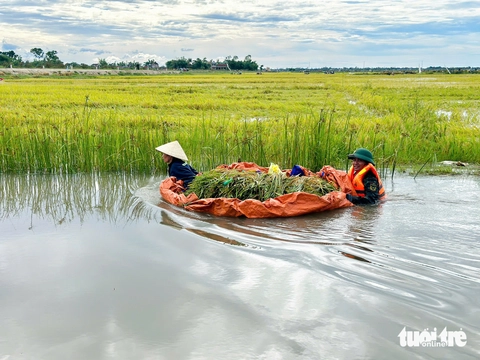 BỘ ĐỘI - Ảnh 1.