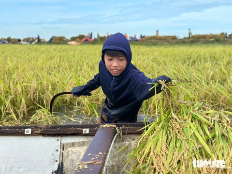 Bộ đội, người dân Huế oằn mình khắc phục mưa lũ - Ảnh 3.