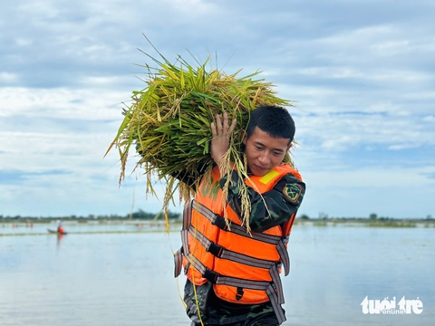BỘ ĐỘI - Ảnh 3.