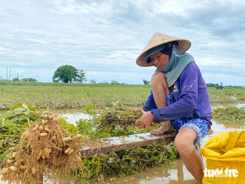 BỘ ĐỘI - Ảnh 4.