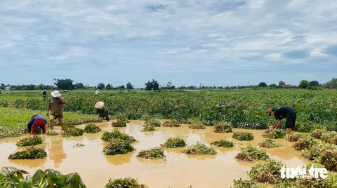 Bộ đội, người dân Huế oằn mình khắc phục mưa lũ - Ảnh 6.