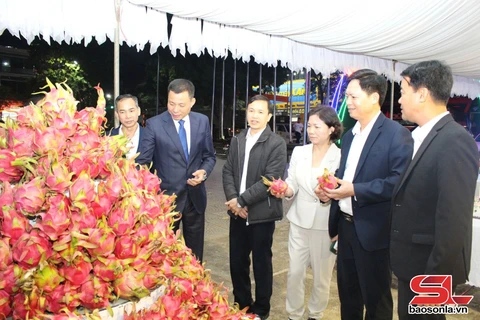 Xây dựng thương hiệu ‘Thanh long Sơn La’ - Ảnh 1.
