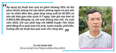 bao quả - Ảnh 4.