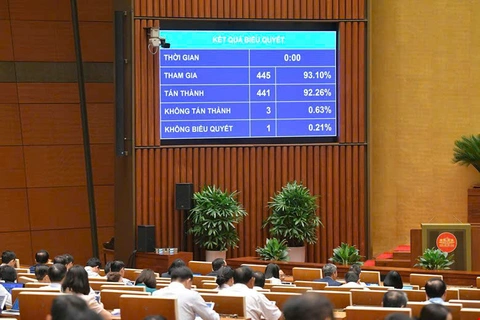 Việt Nam là quốc gia đầu tiên ban hành Luật Công nghiệp công nghệ số - Ảnh 3.