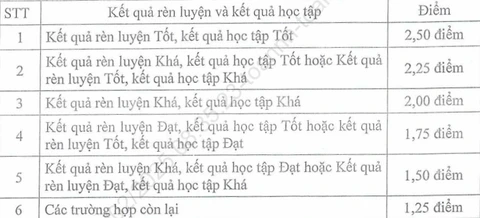 Đà Nẵng công bố điểm chuẩn vào lớp 10, cao nhất 32 điểm - Ảnh 5.