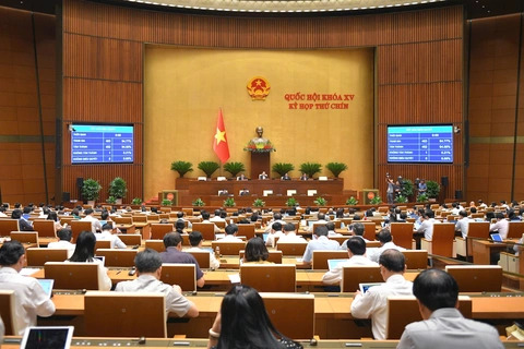 lái xe hạng FC - Ảnh 1.