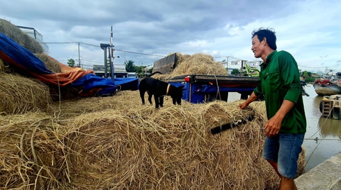 Thương hồ theo những mùa rơm - Ảnh 9. thương hồ - Ảnh 6.