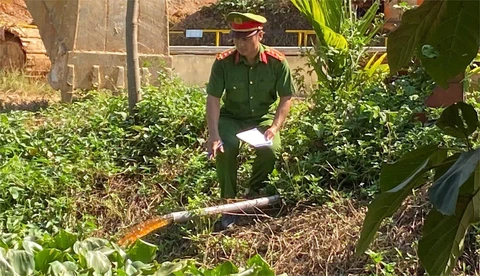 trang trại nuôi heo - Ảnh 3.