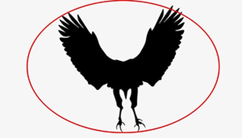 Quiz - Ảnh 3.
