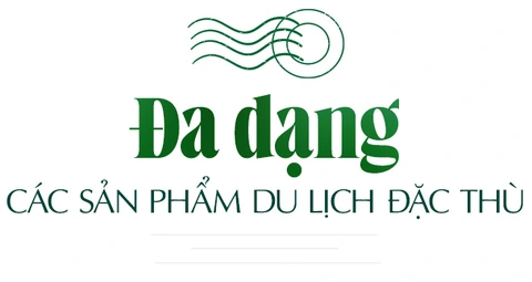 Sen hồng - Ảnh 1.