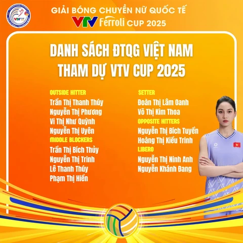 VTV Cup - Ảnh 2.