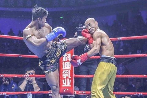 kung fu - Ảnh 2.