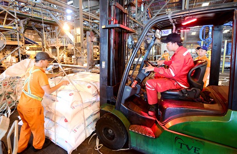 giảm thủ tục - Ảnh 1.